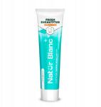 Sylveco Natur Blanc fogkrém Fresh Eucalyptus érzékeny fogakra (5902249019988)