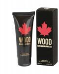 Dsquared2 Wood for Him Asb 100 ml Férfi Eau de Toilette (5B16)