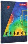 Paperblanks Notes Memories of Champions Spirit of the Athlete Midi gładki, Paperblanks