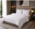 H Hotel Supplier U Collection by Hotel Supplier paplan- és párnaszett, 180x200 cm + 50x70 cm, 2 személyes, Mikroszálas, Szilikonizált szál töltet, 300 g/m2, Magas hőtartó képesség, 3 részes, Fehér (USP180x200+2P)