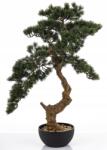 Domdekoracji Dekoratív növény cserépben művirág bonsai fa nagy (183104)
