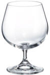 Crystal Bohemia Set 6 pahare Brandy Bohemia Crystal Colibri 400 ml transparent Pahar