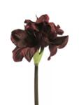 Supergreens Floare artificială Amaryllis, 45 cm, roșu închis, SUPERGREENS