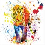 Imageland Tablou pe sticlă securizată 80x80 cm, tigru colorat, Imageland Tiger White