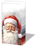 Ambiente Șervețele nazale Ambiente Happy Santa, 3 straturi, hârtie, 21, 5x22 cm, model Moș Crăciun