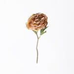 Supergreens Floare artificială bujor Peony la fir, 34 cm, maro, SUPERGREENS