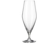 Crystal Bohemia Set 6 pahare bere Bohemia Crystal Gavia 630 ml transparent Pahar