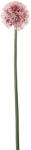Supergreens Floare artificială Allium, 65 cm, roz, SUPERGREENS