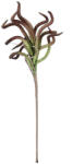 Bizzotto Planta Lauralie Green H78 Bizzotto