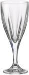 Crystal Bohemia Set 6 pahare vin cristal Bohemia Victoria 290 ml Pahar