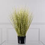 Supergreens Plantă artificială iarbă ornamentală Gynerium, 70 cm, verde, SUPERGREENS