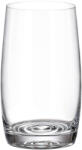 Crystal Bohemia Set 6 pahare apa Crystal Bohemia Pavo Aqua 250 ml transparent Pahar