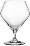 Crystal Bohemia Set 6 pahare bere Crystal Bohemia Gavia 600 ml transparent Pahar