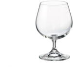 Crystal Bohemia Set 6 pahare Brandy Bohemia Crystal Sylvia 400 ml transparent Pahar