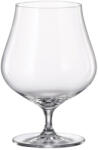 Crystal Bohemia Set 6 pahare coniac Crystal Bohemia Limosa 735 ml transparent Pahar