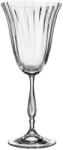 Crystal Bohemia Set 6 pahare vin Crystal Bohemia Fregata Optic 250 ml transparent Pahar