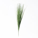 Supergreens Plantă artificială iarbă decorativă Silvergrass, 65 cm, verde, SUPERGREENS
