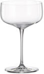 Crystal Bohemia Set 6 pahare martini Crystal Bohemia Anas 320 ml transparent Pahar