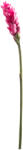 Supergreens Floare artificială Ginger, fucsia, 86 cm, SUPERGREENS
