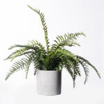 Supergreens Plantă artificială Ferigă Ostrich Green, 42 cm, în ghiveci, SUPERGREENS