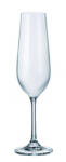 Crystal Bohemia Set 6 pahare sampanie Bohemia Crystal Tyto 200 ml transparent Pahar