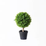 Supergreens Plantă artificială buxus Boxwood în ghiveci, 35 cm, SUPERGREENS