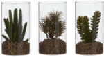 Supergreens Plantă artificială suculentă în recipient de sticlă, 18 cm, verde, SUPERGREENS