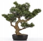 Domdekoracji Növény zöld dekoráció fekete cserépben művirág bonsai fa (183106)