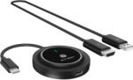 RaidSonic IB-WL101 (61162)