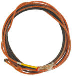 Pool's Used Professional Lasso