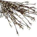 Shein Mesterséges Alap 15-PACK S07 (sh25021067252989828)