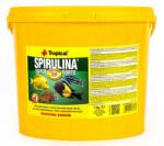 Tropical Spirulina Forte 5l (70317)