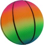 Maxtar MINGE BASKET RAINBOW (A46231)
