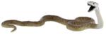 BULLYLAND Sarpe Mamba (BL4007176684870) Figurina
