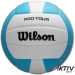 Wilson Röplabda Wilson Pro Tour VB kék-fehér (WV2000506XB) - aktivsport