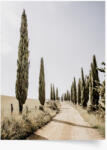 Empikfoto. ro Poster, Vara 4, 70x100 - 291094