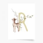 Empikfoto. ro Poster, Alfabet - R: Animale de pădure, 30x40 - 251404