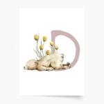 Empikfoto. ro Poster, Alfabet - D: Animale de pădure, 50x70 - 250200
