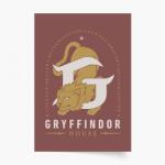 Empikfoto. ro Poster, Harry Potter Domy: Cercetași, 20x30 - 268656