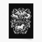 Empikfoto. ro Poster, Harry Potter: Îl aștept pe Patronus, 21x30 - 284793