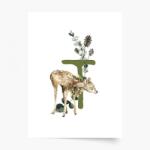 Empikfoto. ro Poster, Alfabet - T: Animale de pădure, 60x80 - 251456