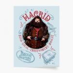 Empikfoto. ro Poster, Harry Potter: Hagrid, 20x30 - 269846