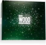 Dsquared2 Green Wood set pentru bărbați Apă de toaletă 100 ml + Balsam după ras 100 ml + Gel de duș opțiune Ambalaj vechi