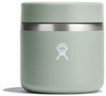 Hydro Flask Insulated Food Jar termos pentru mâncare 20 OZ 591ml, agave (RF20374)