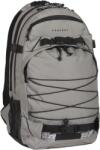 Forvert Louis Laptop rucsac 25L, gri (8615.9.OS) Rucsac tura