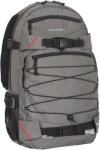 Forvert Louis rucsac 20L, gri (8611.9.OS) Rucsac tura