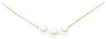 Daniel Wellington Dw00402110