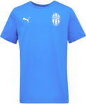 PUMA TEAMGOAL CASUALS TEE JR Kék, Fehér 140 (65861602-FKMB)