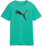 PUMA TAD ESSENTIALS CAT LOGO TEE B Zöld, Fekete 164 (52653440)