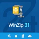 WinZip 31 Standard (PKCWZ31STD)
